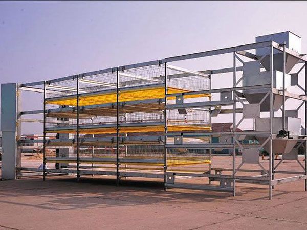 全自動籠養(yǎng)肉雞設(shè)備