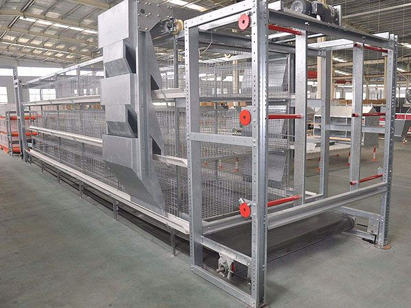 全自動籠養(yǎng)肉雞設(shè)備