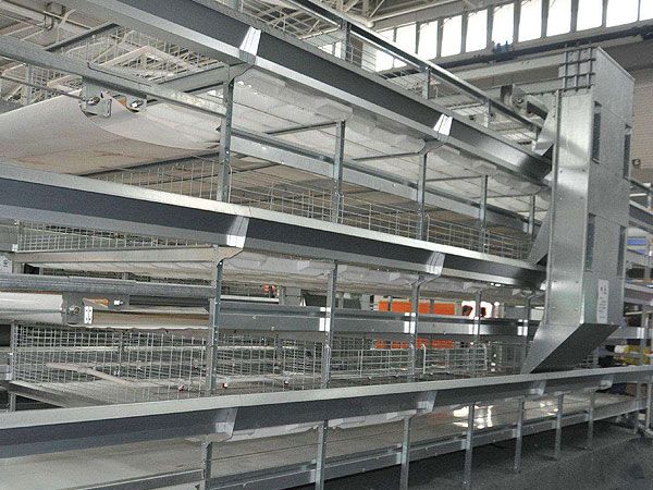 肉雞籠養(yǎng)設(shè)備